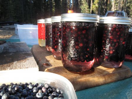 Canning Berries, Fall 2012.
