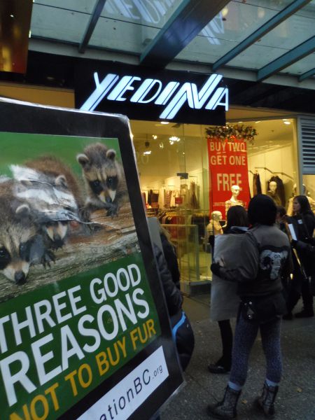 Yedina = animal cruelty