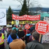 Pipeline rally targets Kinder Morgan & TD Bank 