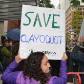 Sounding Off Against Mining Clayoquot