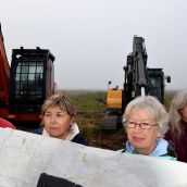 Deltaport Protest Halts Boundary Bay 'Clearcut'