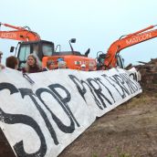 Deltaport Protest Halts Boundary Bay 'Clearcut'
