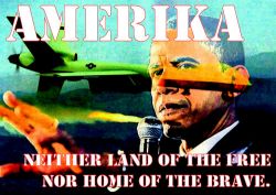 Amerika: Neither Land of the Free Nor Home of the Brave
