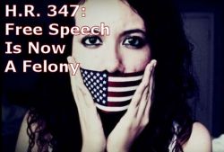 Outlawing the Occupy Movement: H.R. 347 Makes Free Speech A Felony