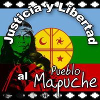 Clarification on Mapuche Political Prisoners & Mapuche Authorities Unto the End of the Hunger Strike
