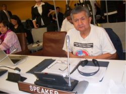 James Louie speaks at the United Nations