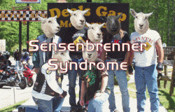 Many American Bikers Suffer From Sensenbrenner Syndrome.  Do You?