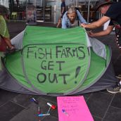 Fish farm foes demand province-wide shutdown 