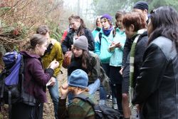 An interested group learns with facilitator Hannah Carpendale about fern species native to coastal British Columbia