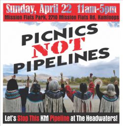 Picnics Not Pipelines!